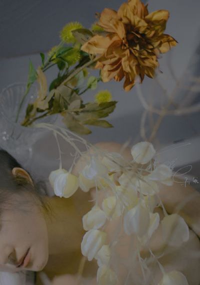 肥妻重生娘亲拽又飒短剧免费观看